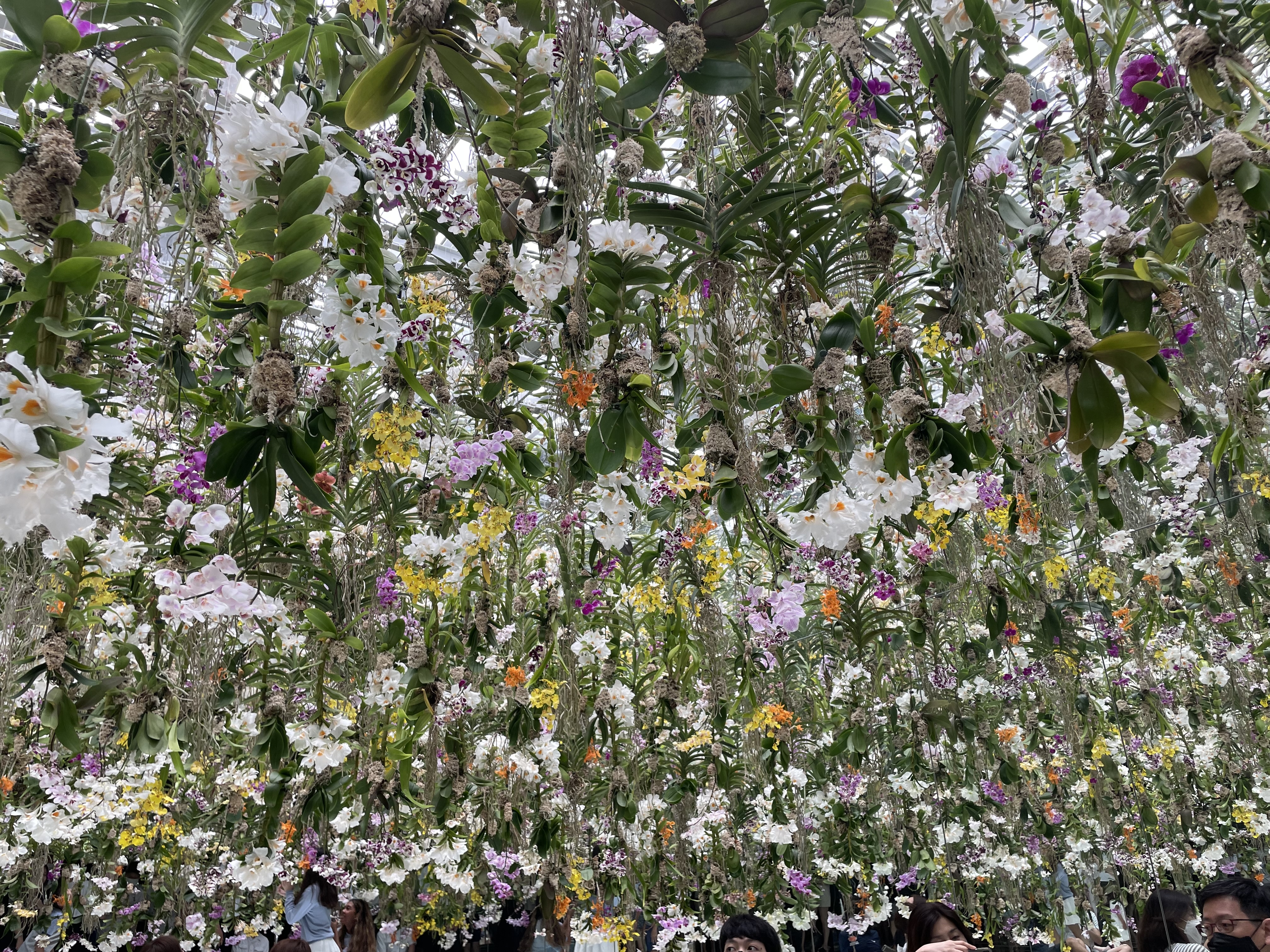 Flower Exhibit at teamLab Planets, Tokyo, 2023